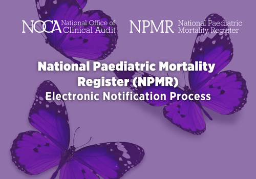 Benefits of the NPMR electronic notification process Image